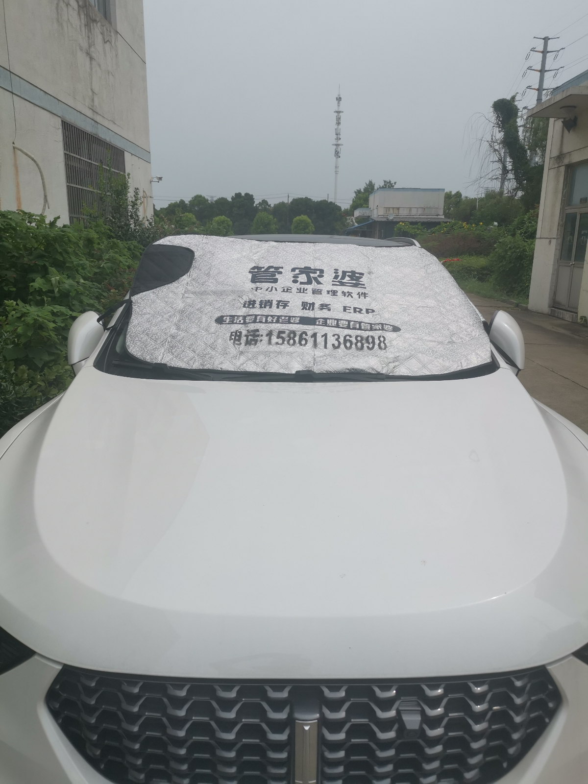 40be38fcec770ea0f5ec031ec1eb5ec.jpg